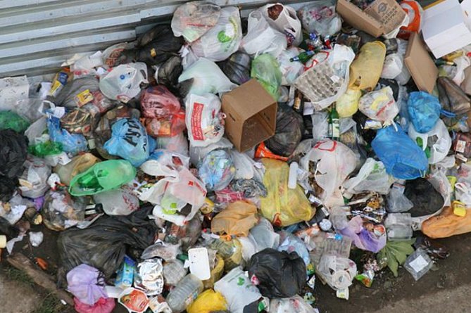 Мобильное приложение "My Armenia" поможет убрать мусор с улиц
